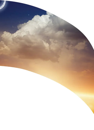 TTH354 - Smith Walbridge Band Products