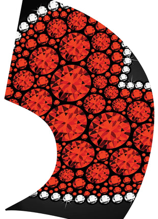 TTH355 - Smith Walbridge Band Products