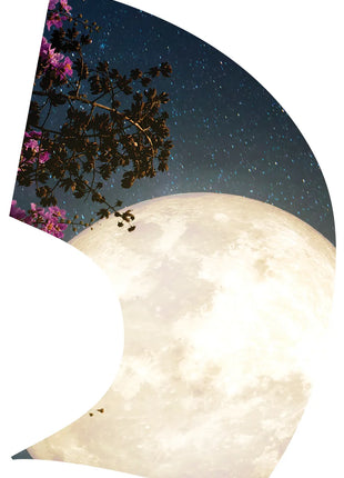 TTH356 - Smith Walbridge Band Products