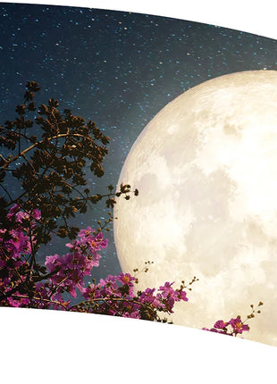 TTH356 - Smith Walbridge Band Products