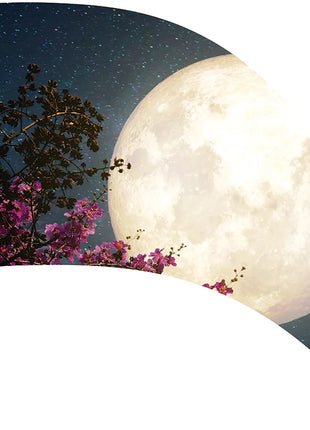 TTH356 - Smith Walbridge Band Products