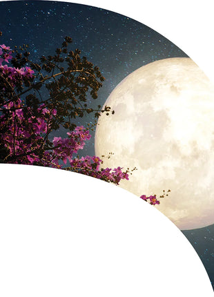 TTH356 - Smith Walbridge Band Products