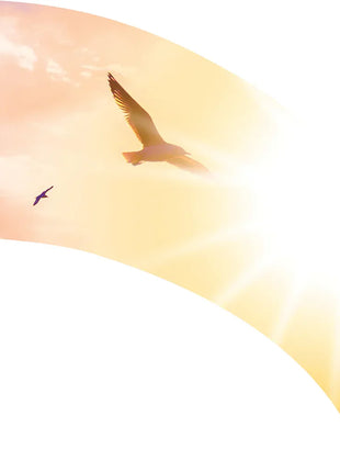 TTH357 - Smith Walbridge Band Products