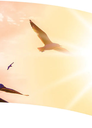 TTH357 - Smith Walbridge Band Products