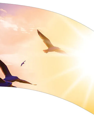 TTH357 - Smith Walbridge Band Products