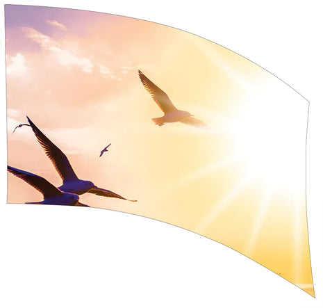 TTH357 - Smith Walbridge Band Products