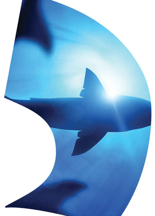 TTH429AH - Smith Walbridge Band Products