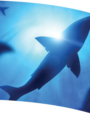 TTH429AH - Smith Walbridge Band Products