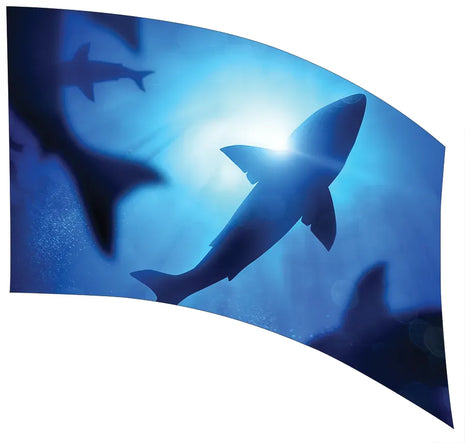 TTH429AH - Smith Walbridge Band Products