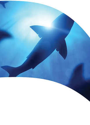 TTH429AH - Smith Walbridge Band Products