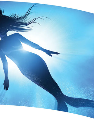 TTH430AH - Smith Walbridge Band Products