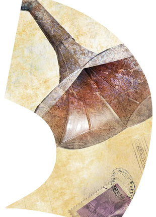 TTH435AH - Smith Walbridge Band Products