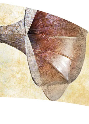 TTH435AH - Smith Walbridge Band Products