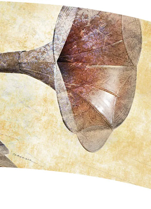 TTH435AH - Smith Walbridge Band Products