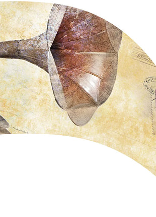 TTH435AH - Smith Walbridge Band Products