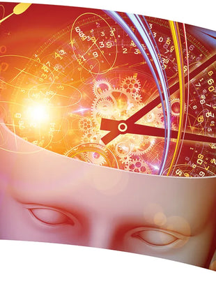 TTH442AH - Smith Walbridge Band Products