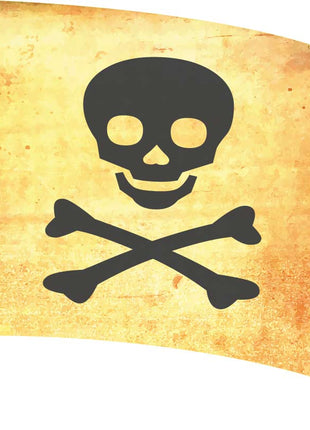 pirate-sw169-color-guard-flag