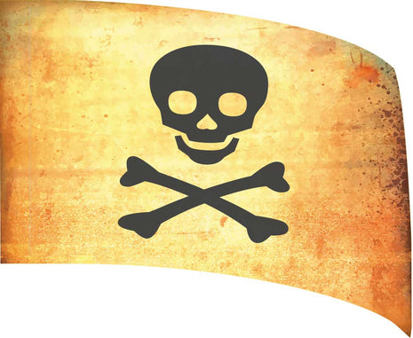 pirate-sw169-color-guard-flag