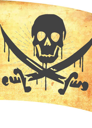 pirate-sw170-color-guard-flag