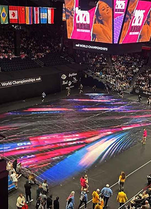 winter-guard-floor-2