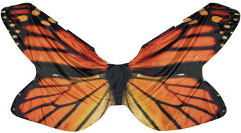 Digital Butterfly Wings Orange-Styleplus-SMITH WALBRIDGE BAND PRODUCTS