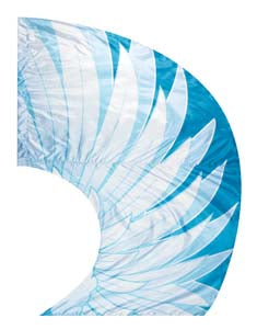 Digital Print Super Swing Flag #002