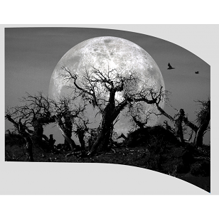 Digital Print Flag #610 Color Guard Flag-Styleplus-SMITH WALBRIDGE BAND PRODUCTS